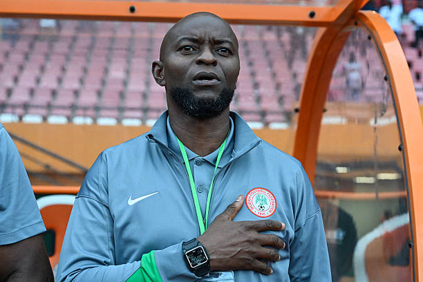 NFF Reforms: Finidi George Urges 'Fast tracking' the Purge