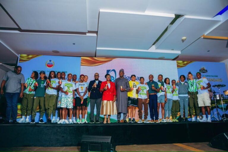 Super Falcons, Amstel Malta, Goldberg